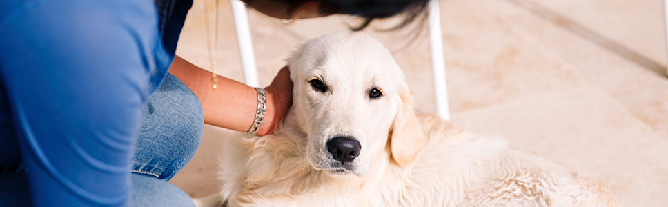 Zu Ihrer Information: